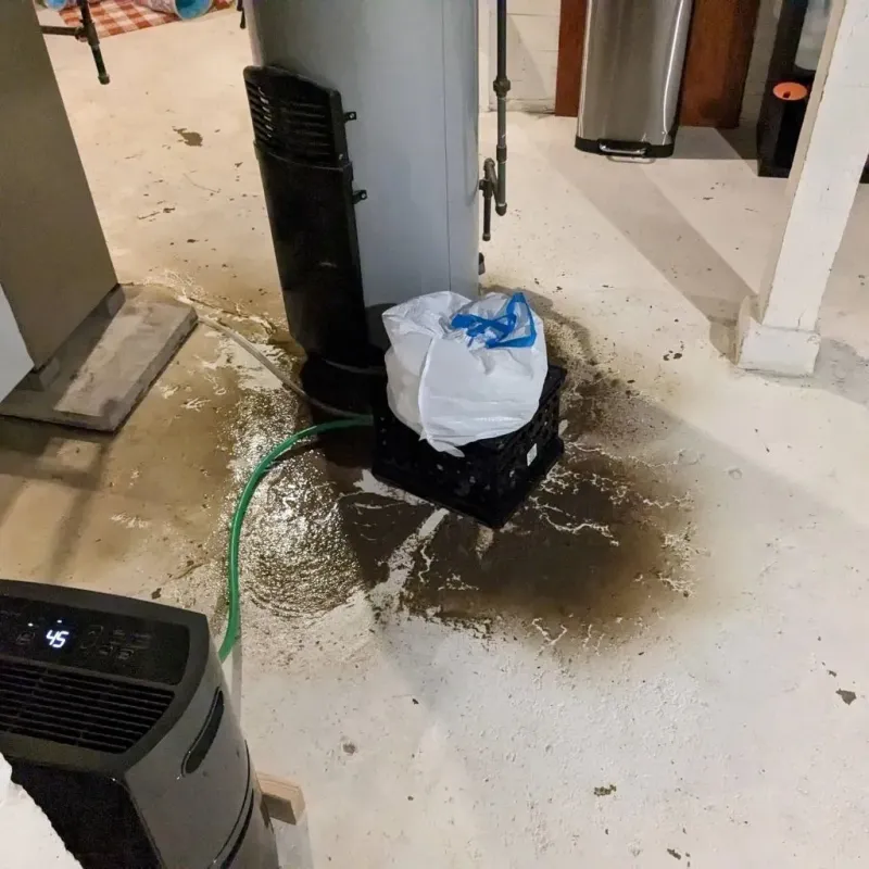 Sewage Backup Cleanup Service in Chester, SC